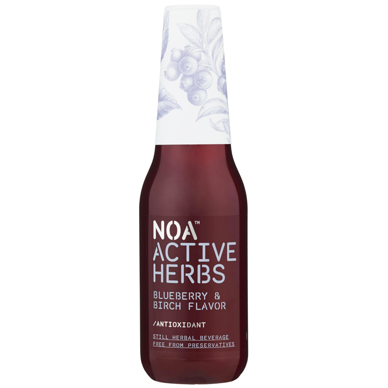 Dryck Blåbär & Björksav 314ml - 47% rabatt