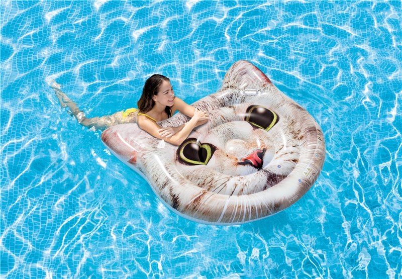INTEX Cat Face Island luftmadrass