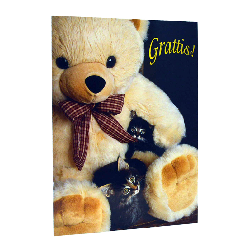 Grattiskort Dubbelt "Teddy Med Kattungar" - 97% rabatt
