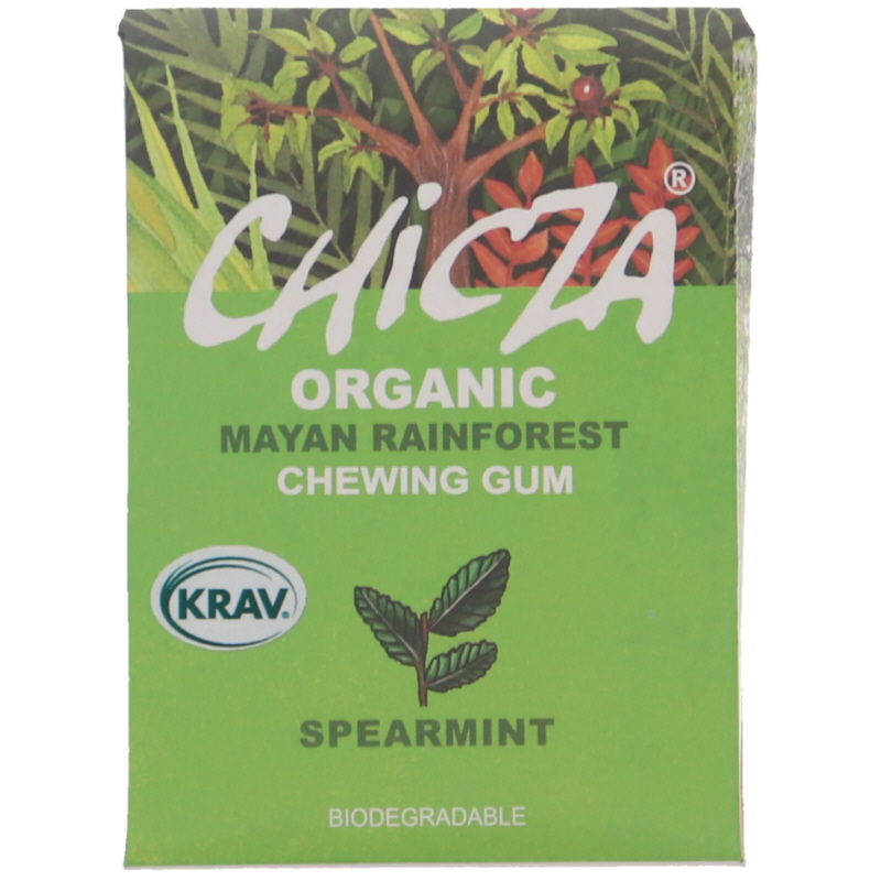 Spearmint/Grönmynta Tuggummi - 52% rabatt