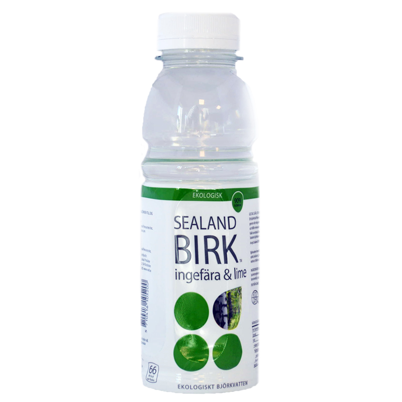 BIRK Ingefära/Lime - 25% rabatt