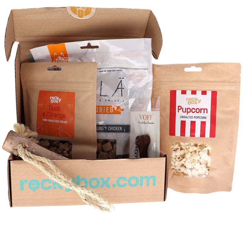 Presentbox Hund - 50% rabatt