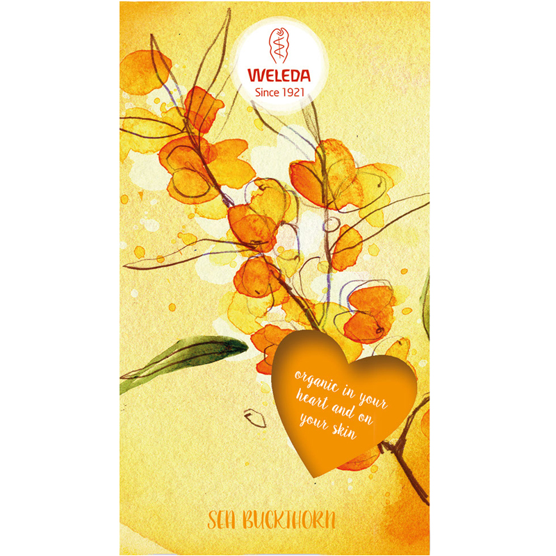 Kroppskit "Sea Buckthorn Set" - 67% rabatt